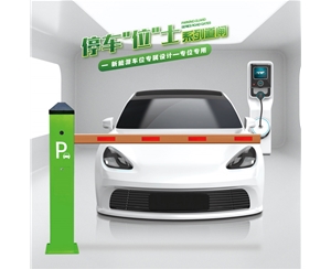 汶上RG-CW系列车位小道闸